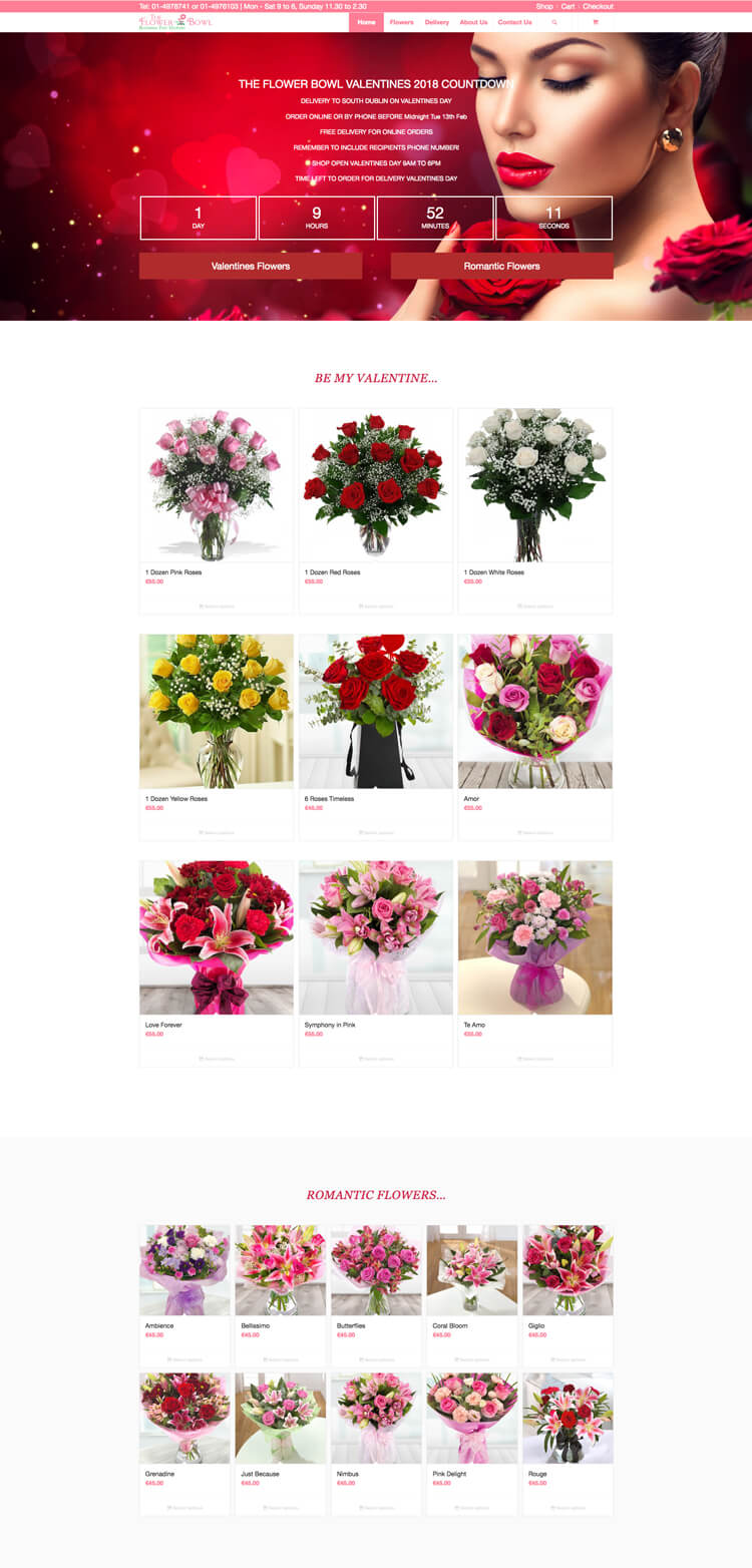 valentines homepage 2018.jpg