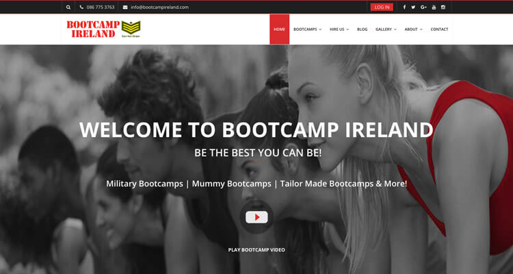 wordpress web agency.jpg